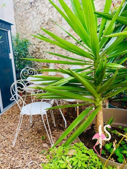 Havre De Paix Avec Jardin Et Clim En Centre Ville De Sète Dış mekan fotoğraf