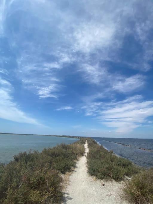 Havre De Paix Avec Jardin Et Clim En Centre Ville De Sète Dış mekan fotoğraf